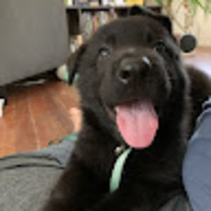 Meet your Posher, Jackie